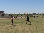 OTFL Gallery Image
